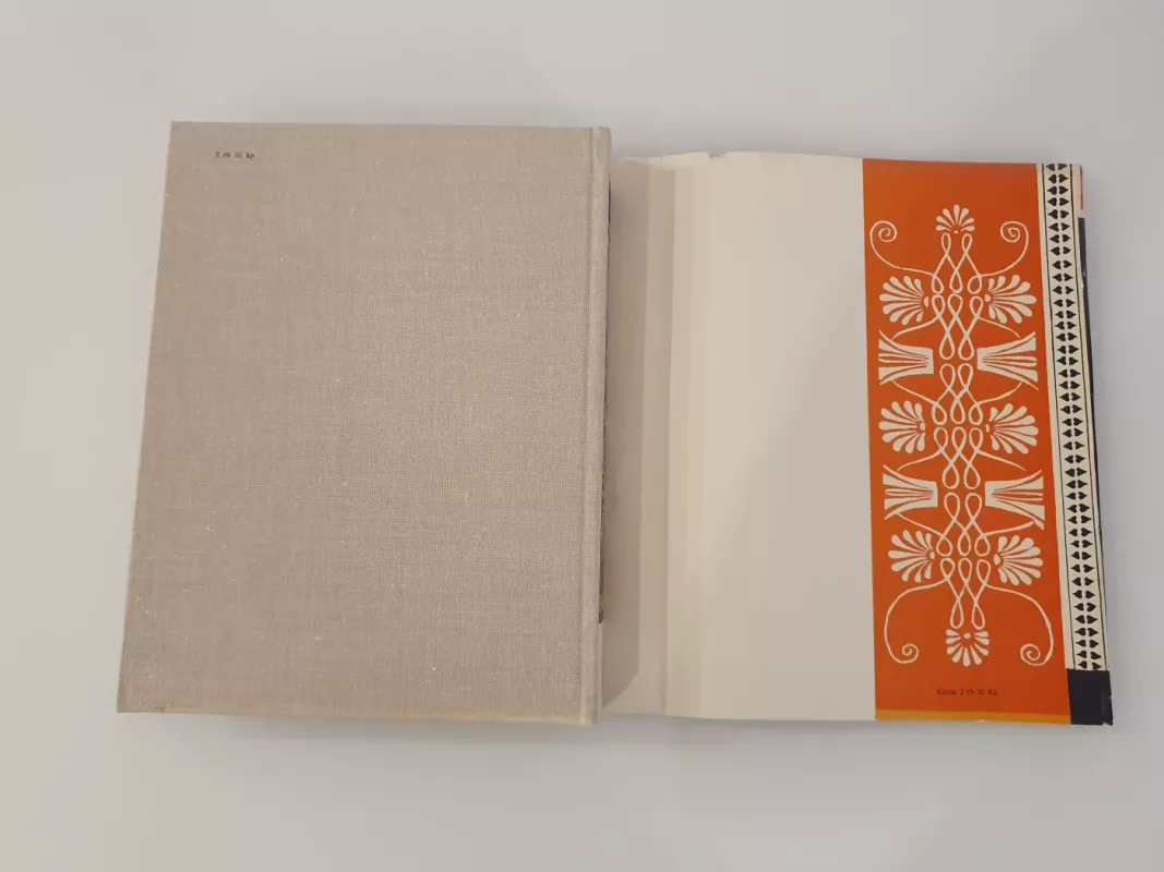 Odisėja - Homeras, knyga 6