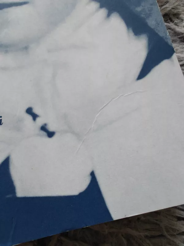 Vienos sielos istorija. Autobiografiniai rankraščiai Šventoji Kūdikėlio Jėzaus ir Švenčiausiojo Veido Teresė - Šventoji Teresė, knyga 3