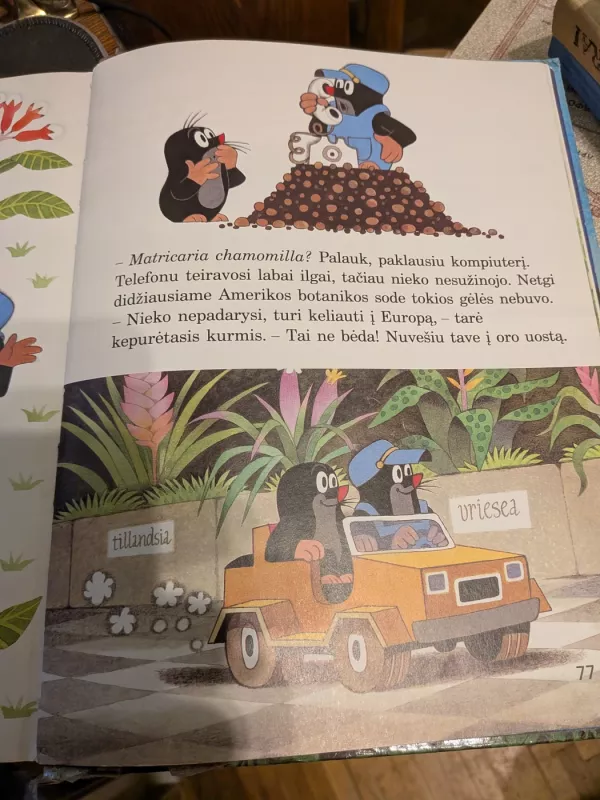 Kaip kurmiukas pagydė pelytę - Autorių Kolektyvas, knyga 2