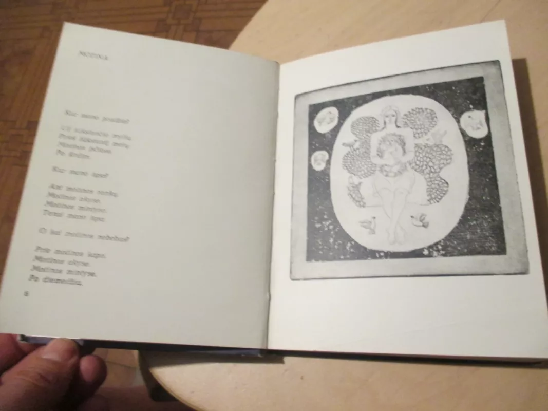 Akimirkos - Algimantas Baltakis, knyga 5