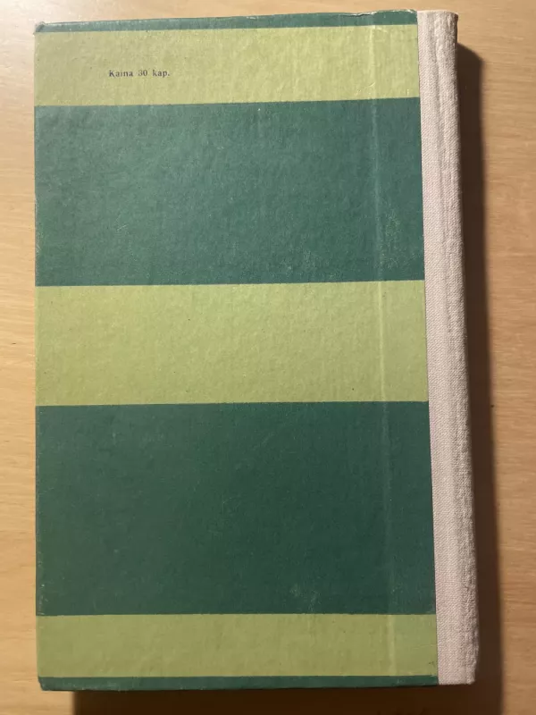 Skirgaila - Vincas Krėvė, knyga 3