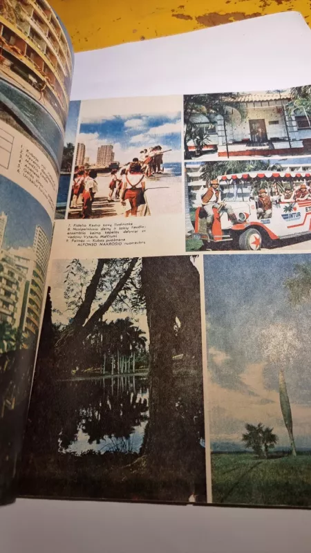 Mokslas ir Gyvenimas '81 3 - Jungtinis autorių kolektyvas, knyga 5