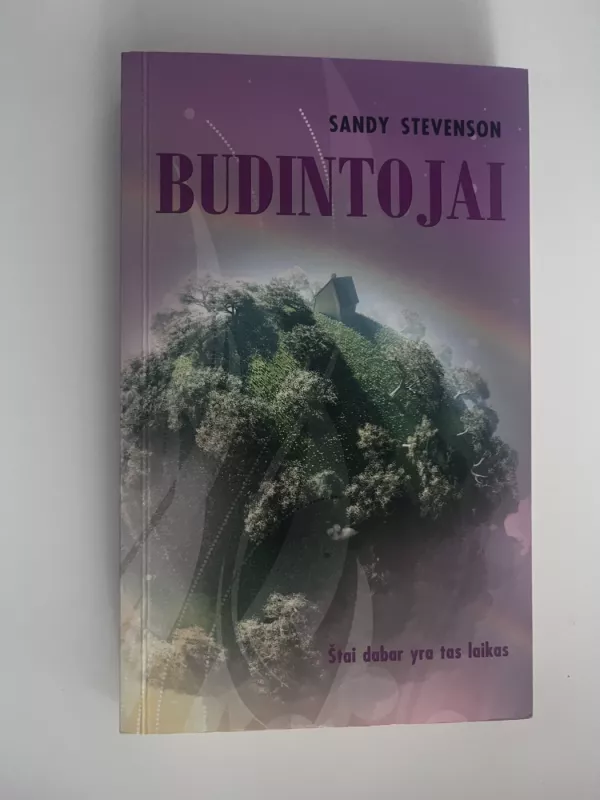 Budintojai - Sandy Stevenson, knyga 2