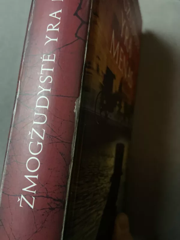 Žmogžudystė yra menas - David Morrell, knyga 2