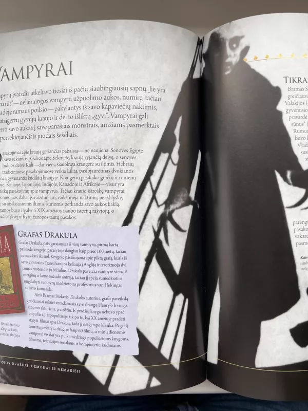 Fantasmagorija - Julia Bruce, knyga 4