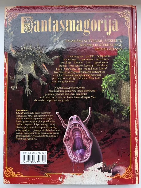 Fantasmagorija - Julia Bruce, knyga 3