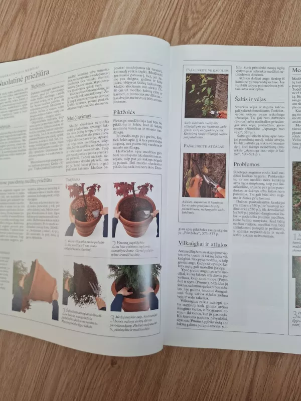 Didžioji sodo enciklopedija - Christopher Brickell, knyga 6