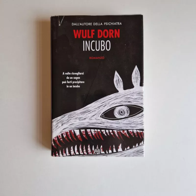 Incubo - Wulf Dorn, knyga 2