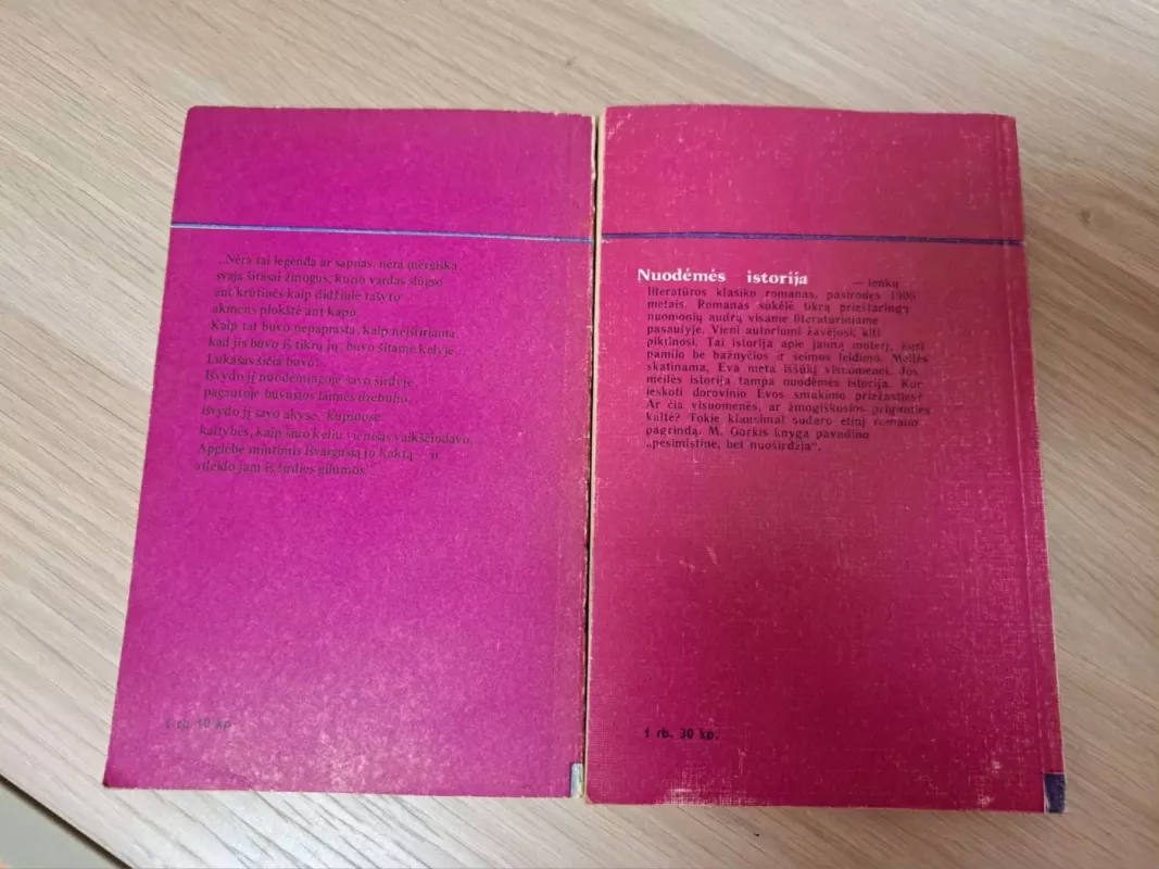 Nuodėmės istorija (2 dalys) - Stefanas Žeromskis, knyga 3