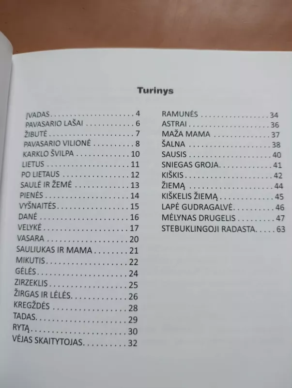 Stebuklingoji radasta - Bronė Buivydaitė, knyga 4