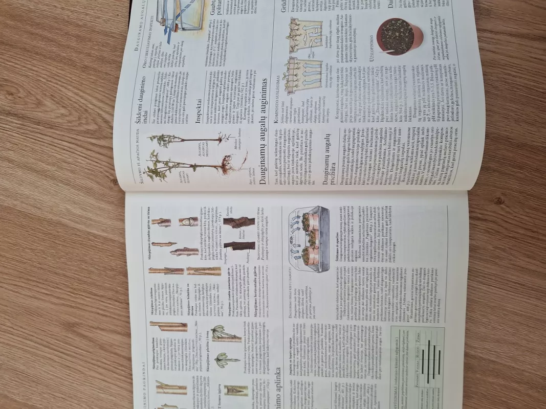 Didžioji sodo enciklopedija - Christopher Brickell, knyga 5