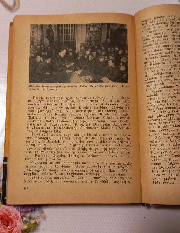 TSRS istorija IX-X klasei - I. Berchinas, I. Fedosovas, knyga 4