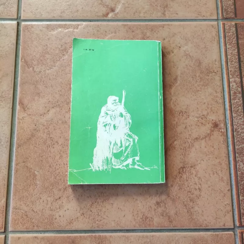 Robino Hudo nuotykiai - Hovardas Pailas, knyga 3