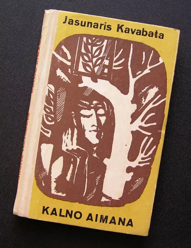 Kalno aimana - Jasunaris Kavabata, knyga 2