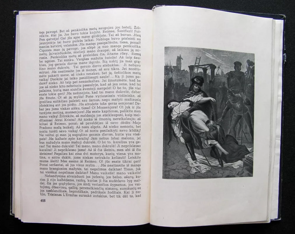 Paryžiaus katedra - Viktoras Hugo, knyga 6