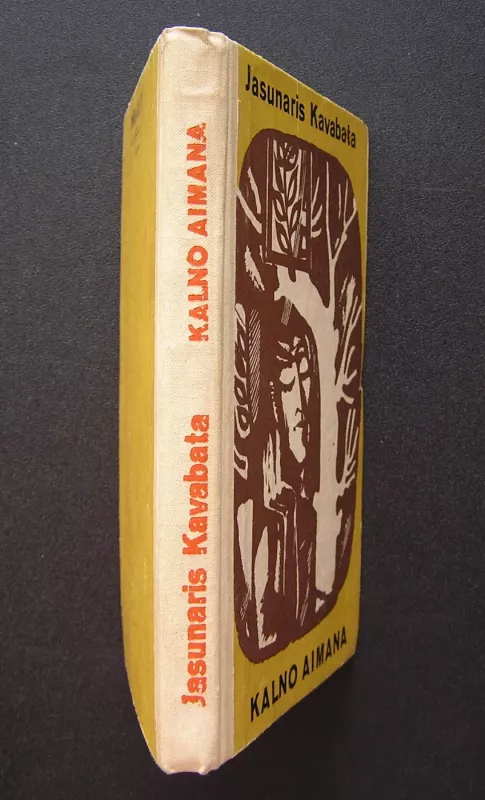 Kalno aimana - Jasunaris Kavabata, knyga 5