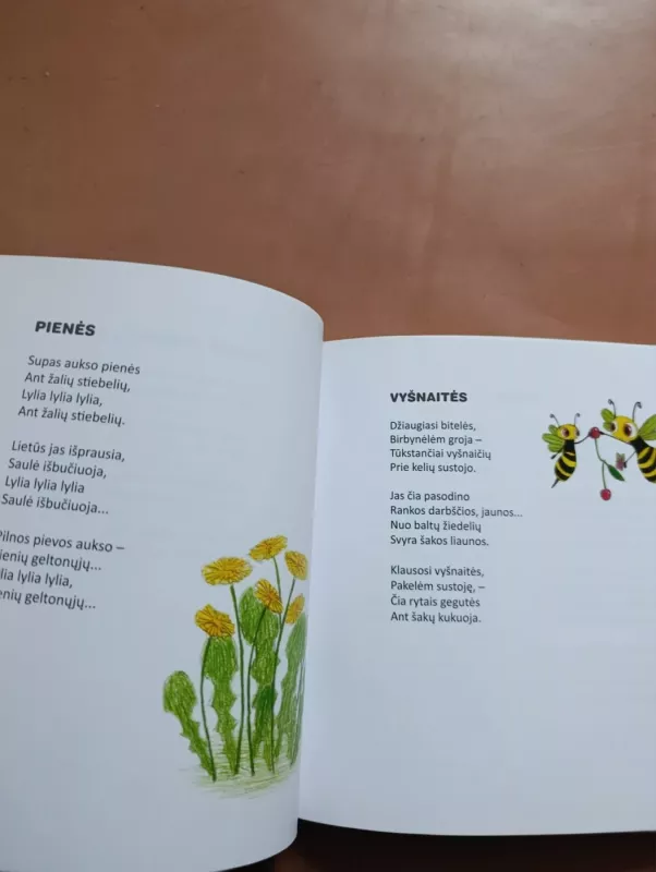 Stebuklingoji radasta - Bronė Buivydaitė, knyga 6