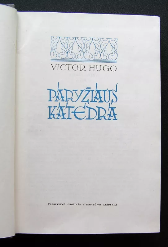 Paryžiaus katedra - Viktoras Hugo, knyga 4