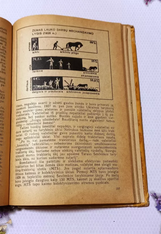 TSRS istorija IX-X klasei - I. Berchinas, I. Fedosovas, knyga 3