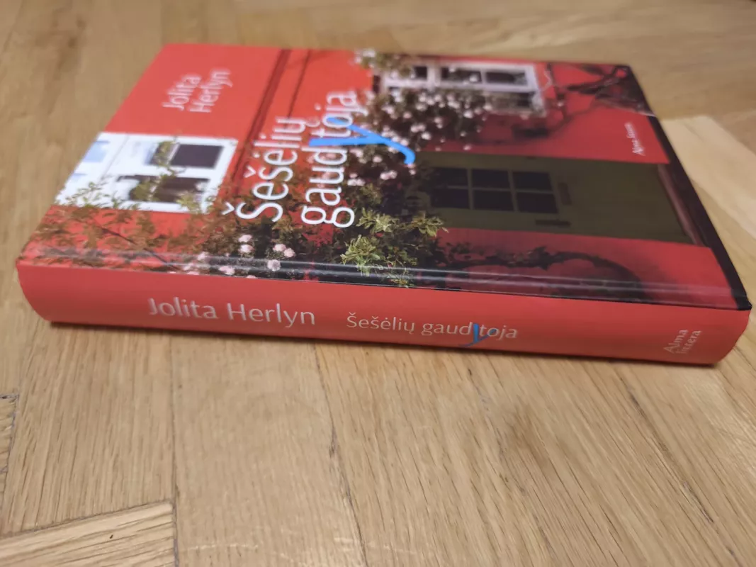 Šešėlių gaudytoja - Herlyn Jolita, knyga 4