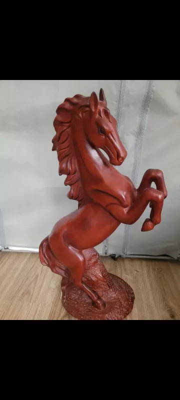 Arklys didelis - , namai ir interjeras 2