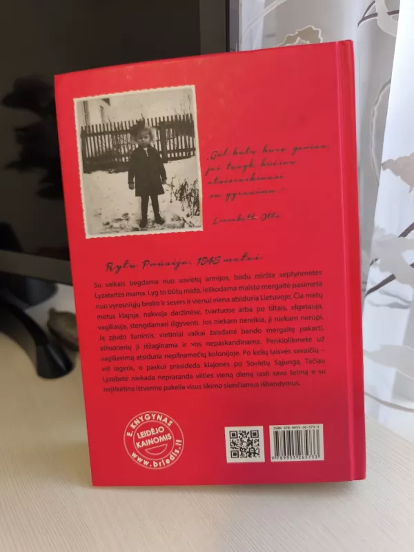 Vilko vaikas - Ingeborg Jacobs, knyga 3