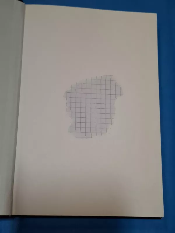 Ieškojimai - Vaida Blažytė, knyga 4