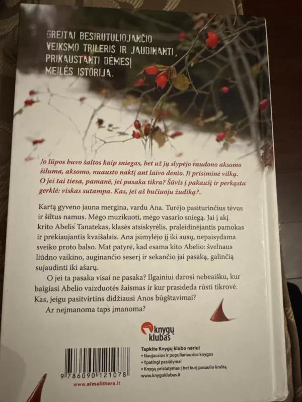 Pasakininko istorija: Kai meilė peržengia ribas - Antonia Michaelis, knyga 3