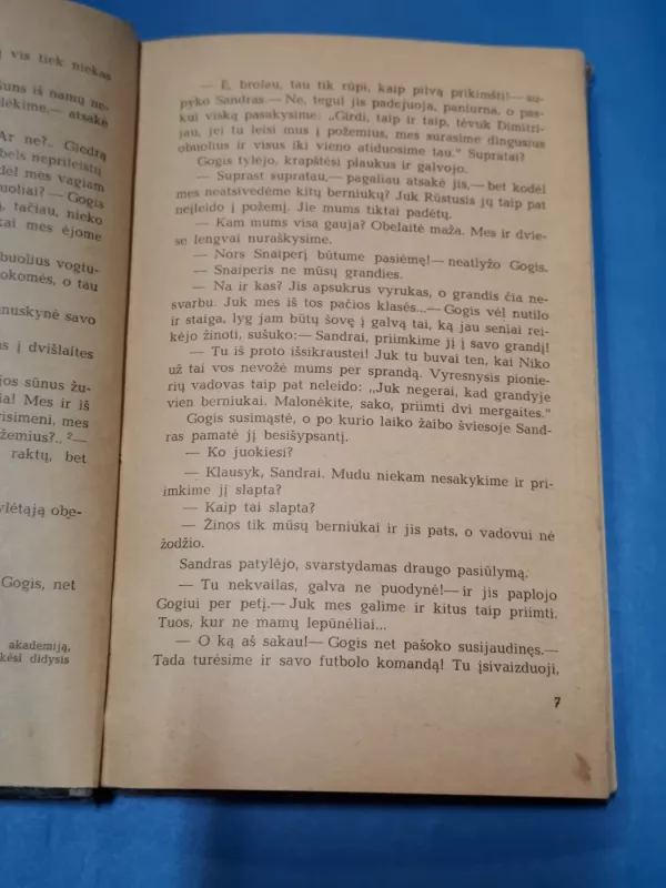 Ikalto berniukai - Lado Mrelašvilis, knyga 4