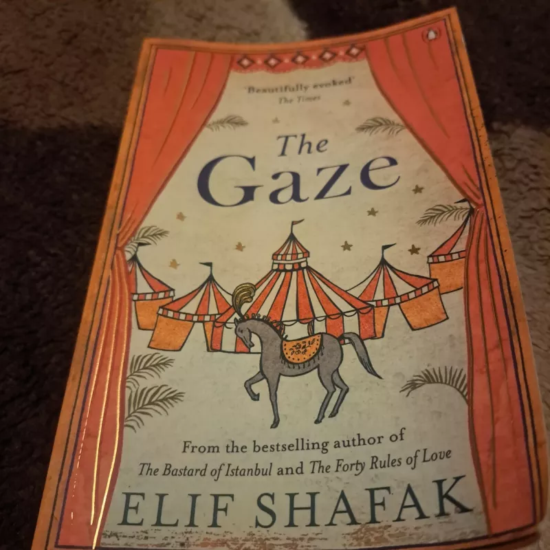 The Gaze - Elif Shafak, knyga 2