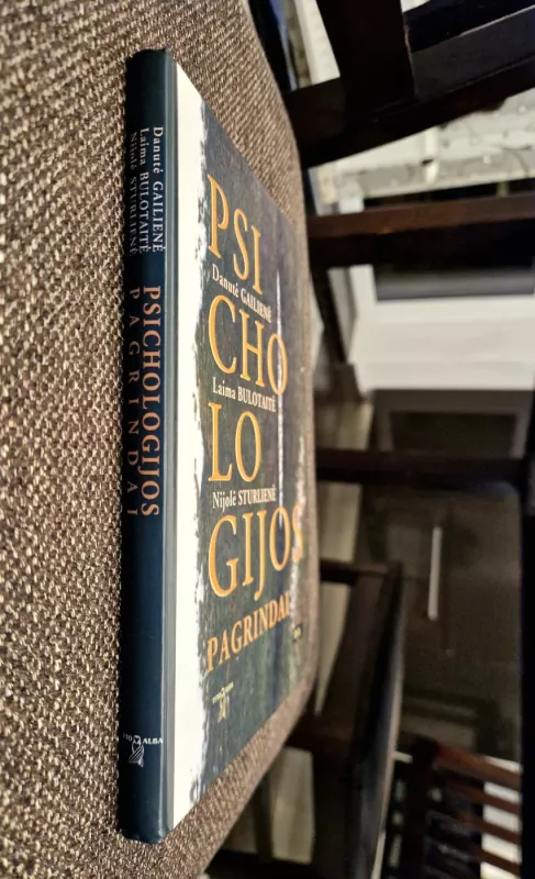 PSICHOLOGIJOS PAGRINDAI. VADOVĖLIS IX-X KLASĖMS - Laima Bulotaitė, knyga 3
