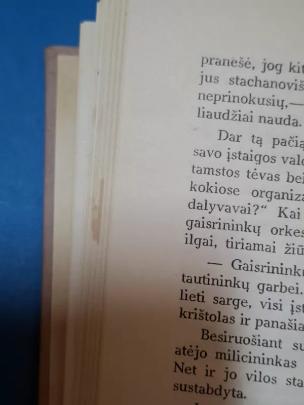 Iki pasimatymo - Liūnė Janušytė, knyga 6