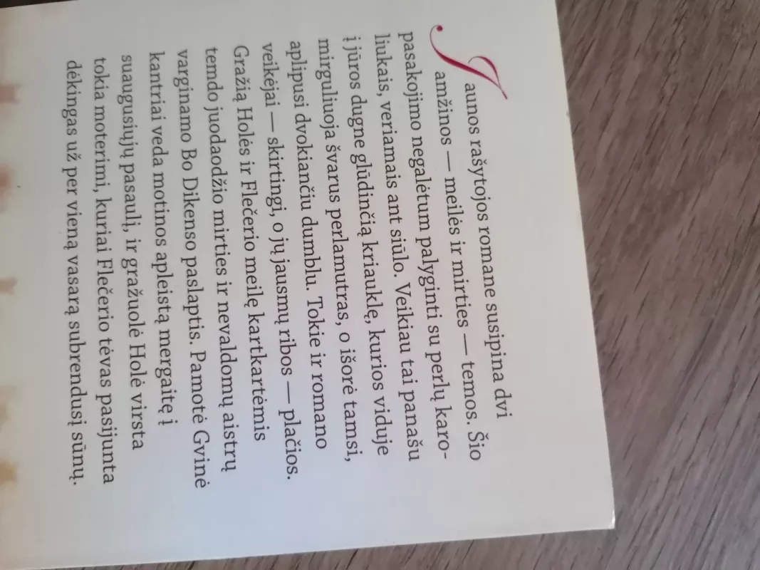 Vasara, kai mane mylėjo Flečeris Grylis - Suzanne Kingsbury, knyga 6