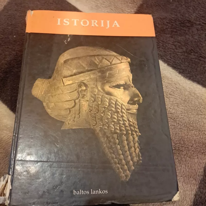 Istorija - P. F. Biunaras, ir kiti , knyga 3