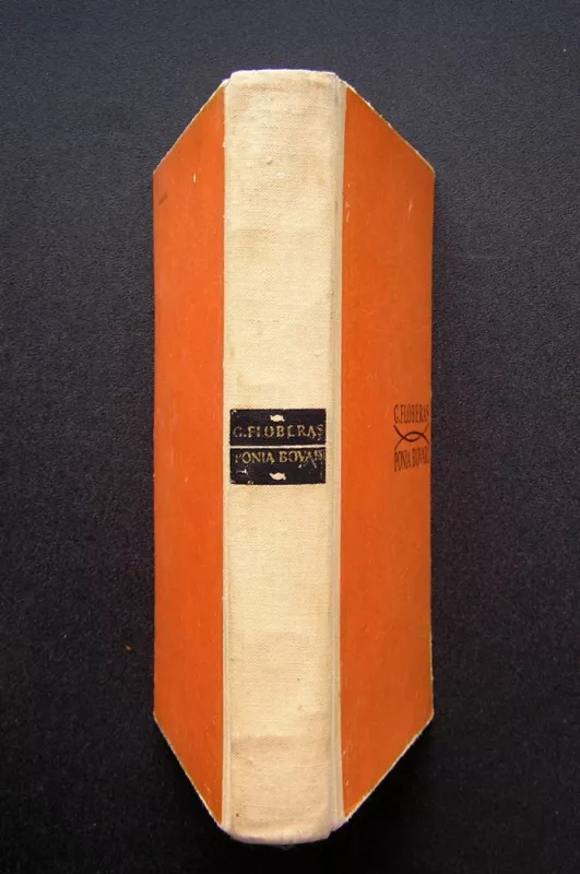 Ponia Bovari - Gustave Flaubert, knyga 3