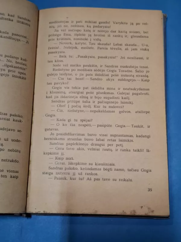 Ikalto berniukai - Lado Mrelašvilis, knyga 5