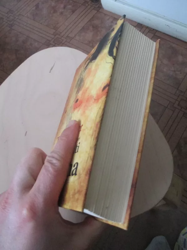 Trumpa istorija apie moterį, kuri negalėjo būti ištikima - Tanja Langer, knyga 4