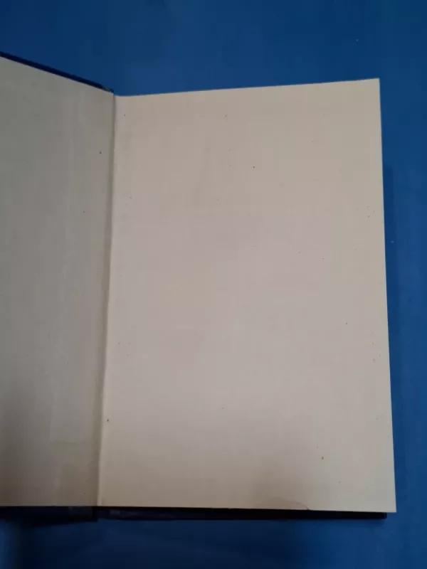 Ieškojimai. Problemos. Patirtis - Autorių Kolektyvas, knyga 4