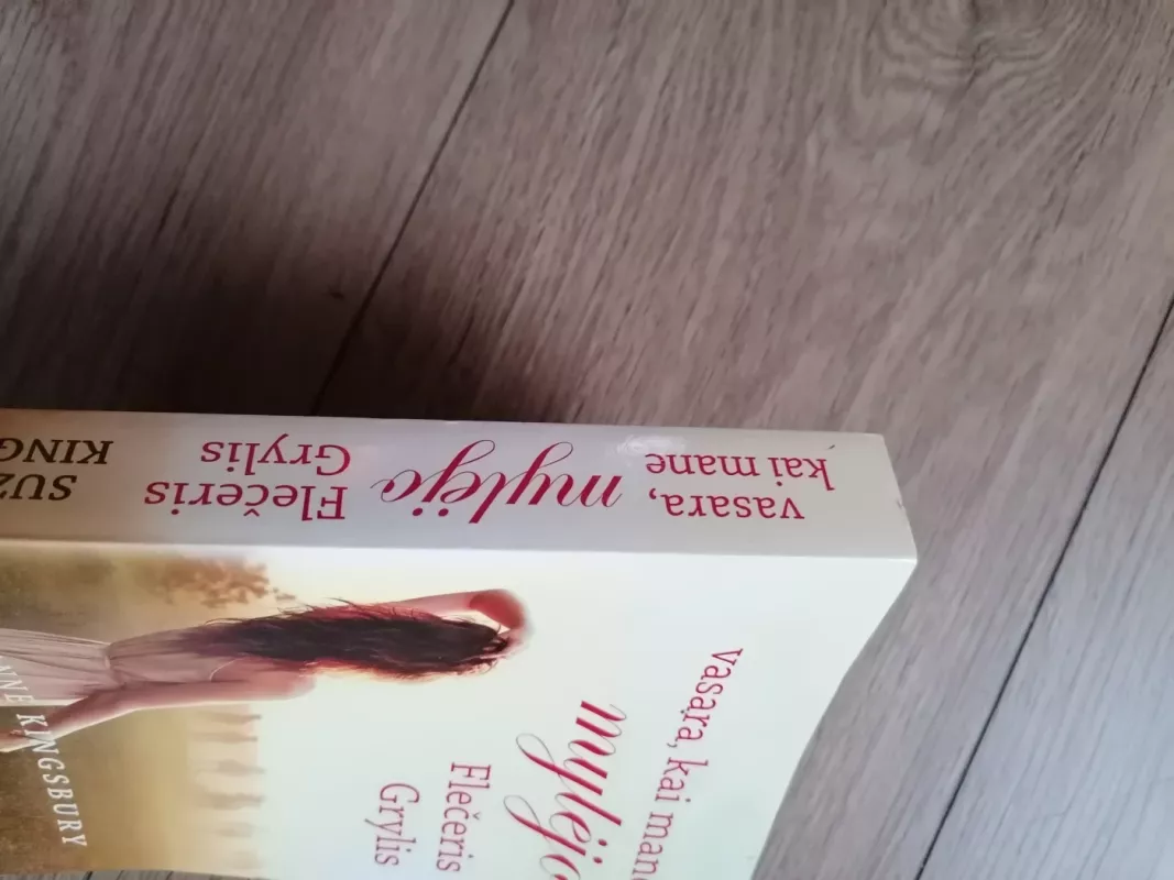 Vasara, kai mane mylėjo Flečeris Grylis - Suzanne Kingsbury, knyga 3