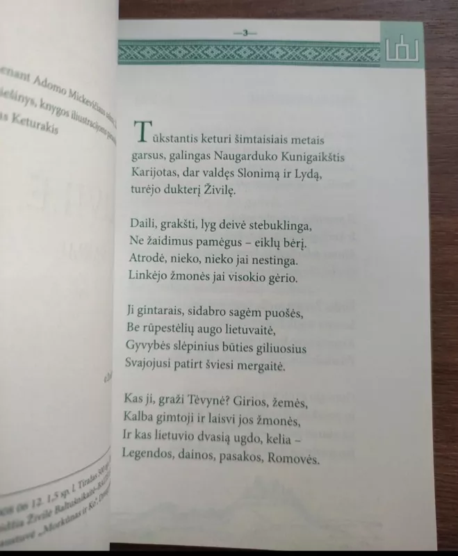 Živilė. Sakmė - Zivile Balte, knyga 4