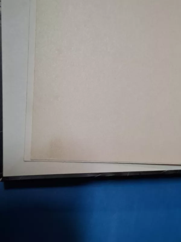 Ieškojimai - Vaida Blažytė, knyga 5