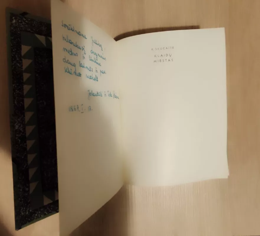 Klaidų miestas - Ramutė Skučaitė, knyga 3