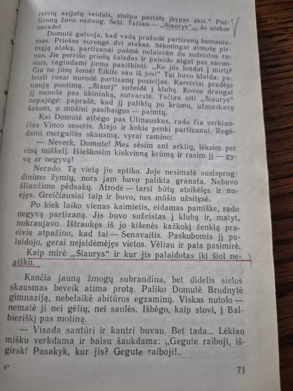 Išėjo broliai - Antanina Garmutė, knyga 5