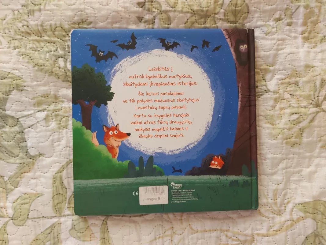 Istorijos mažiesiems herojams: 4 pasakojimai apie drąsą, pašėlusius nuotykius ir svajones - Daiva Krištopaitienė, knyga 5