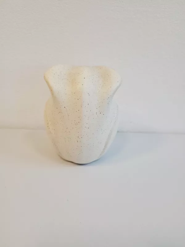 Keramikinė pėlėda - , namai ir interjeras 4