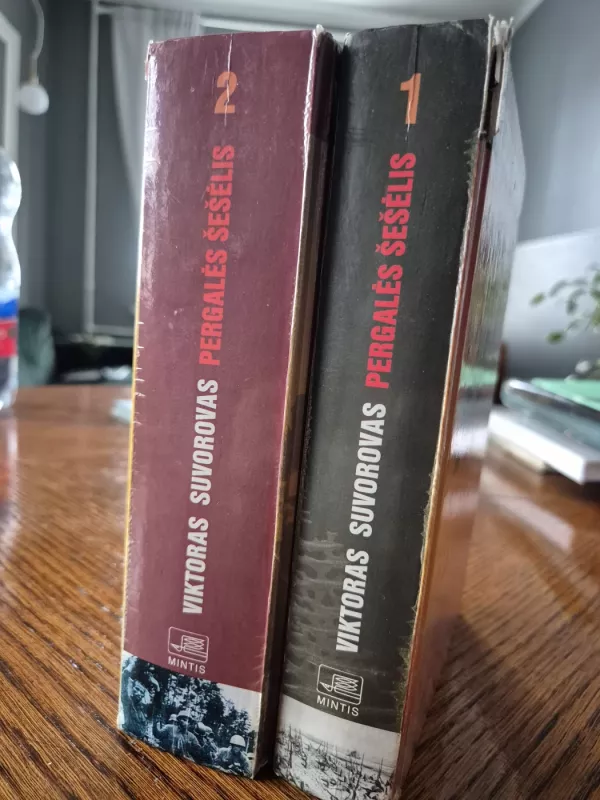 Pergalės šešėlis. 1 ir 2 knygos - Viktoras Suvorovas, knyga 2