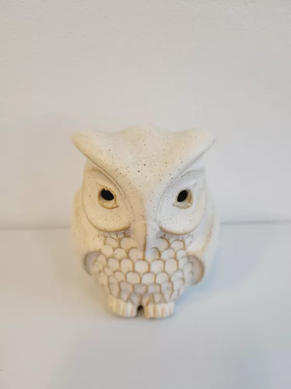 Keramikinė pėlėda - , namai ir interjeras 2