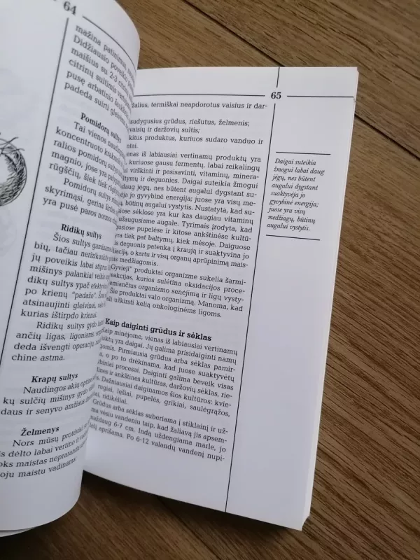 Gydomosios, lieknėjimo, sveikatos dietos - Mindaugas Papečkys, knyga 4