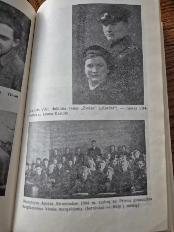 Išėjo broliai - Antanina Garmutė, knyga 6