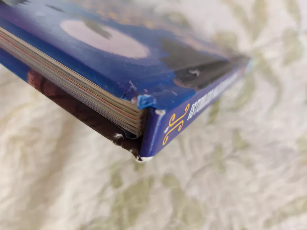 Istorijos mažiesiems herojams: 4 pasakojimai apie drąsą, pašėlusius nuotykius ir svajones - Daiva Krištopaitienė, knyga 6